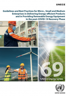 Guidelines and best practices for micro-, small and medium enterprises in Georgia in delivering energy-efficient products and in providing renewable energy equipment cover page
