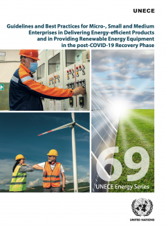 Guidelines and Best Practices for Micro-, Small and Medium Enterprises in  Delivering Energy-Efficient Products and in Providing Renewable Energy  Equipment